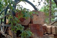 មេឈ្មួញជើងខ្លាំងឈ្មោះ តុប វីដា ជាឧត្តមសេនីយ៍យោធាល្បីខាងបំផ្លាញព្រៃឈើខេត្តមណ្ឌលគិរីគេចផុតពីសំណាញ់ច្បាប់ដដែល