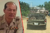 ឈ្មួញធំៗសម្រុកនាំចូលជ្រូកពីស្រុកយួនតាមច្រករបៀងលោក ថៃ លី មេពេទ្យសត្វខេត្តតាកែវ និងលោក ញឹប ស្រ៊ន ប្រធានមន្ទីរកសិកម្មខេត្តមិនខ្វល់ពីបទបញ្ជារបស់អភិបាលខេត្ត
