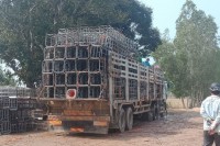 ជិតចូលឆ្នាំចិនយួន ក្បូនរថយន្តធំៗដឹកជ្រូករបស់លោកឧញ៉ា ជឹម សុខ កំពុងតែសម្រុកនាំជ្រូកពីប្រទេសថៃចូលមកប្រទេសខ្មែរនិងឆ្លងកាត់ខេត្តស្វាយរៀងទៅតាមច្រករបៀងព្រំដែនកែវជះយកទៅលក់នៅប្រទេសវៀតណាមបានយ៉ាងរលូន.!
