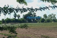 លោក(ប្រុស) ជាម្ចាស់សង្វៀន ប្រជល់មាន់នៅភូមិ( ថ្មី)កំពុងបើកលេង រាល់ថ្ងៃហ៊ានផ្គីេននិងបទបញ្ជាលោក ជាមច័ន្ទ សោភ័ណ្ឌអភិបាលខេត្តត្បូងឃ្មុំ និង លោក ប៉ែន រត្ន័ស្នងការដ្ឋាននគរបាលខេត្តត្បូងឃ្មុំ ទៅទៀត.!
