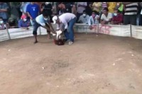 ឈ្មោះ វ៉ា ជាម្ចាស់សង្វៀនប្រជល់មាន់ និងអាប៉ោង កំពុងបើកលេងស៊ីសងខុសច្បាប់ យ៉ាងពេញបន្ទុក ជាប្រភពចំណូលដល់មន្ត្រីធំៗក្នុងខេត្តត្បូងឃ្មុំ.?