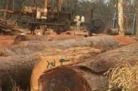 មេឈ្មួញដុះស្លែឈ្មោះ កោះ សំភី ហៅ ហ៊ុ ហយ ប្រើប្រាស់រថយន្តជាច្រើនគ្រឿងដើម្បីកាប់ឈើនិងដឹកជញ្ជូនឈើពីតំបន់ដែនជម្រកសត្វព្រៃភ្នំឱរ៉ាល់ ចូលមកភូមិបំណក់ ឃុំឈើតុំ ស្រុកក្រគរ ដោយគ្មានមន្ត្រីជំនាញនិងសមត្ថកិច្ចពាក់ព័ន្ធចាត់វិធានការបង្ក្រាបឡើយ ?