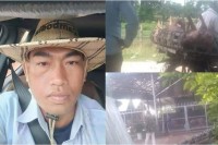 ឈ្មោះ ថាំង ជាមេឈ្មួញជើងខ្លាំង ម្នាក់ប្រចាំស្រុករមាសហែក កំពុងសម្រុកដឹកជញ្ជូនជ្រូក ពីស្រុកយួនចូលខ្មែរ នាឱកាសបុណ្យភ្ជុំបិណ្ឌ ដោយរលូន.?