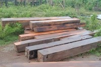 ក្រុមហ៊ុន ដោន កំពុងធ្វើសកម្មភាពកាប់បំផ្លាញដឹកជញ្ជួនឈើ ចេញពី ដែនអភិរក្ស ព្រៃគូលែនព្រហ្មទេព រីឯសមត្ថកិច្ចជំនាញពាក់ព័ន្ធខេត្តព្រះវិហារ ជាអ្នកបើកភ្លើងខៀវ ?