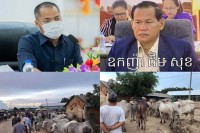 លោក ឧកញ៉ា ជឹម សុខ ដែលល្បីថាជាអ្នកជំនួញមានអាជ្ញាប័ណ្ណ៣សន្លឹក អាចនាំ សត្វគោ ក្របី ទៅលក់នៅស្រុកយួន តាមច្រករបៀងព្រំដែនស្វាយអាង៉ោង យ៉ាងពេញបន្ទុក ទាំងយប់ទាំងថ្ងៃ ?