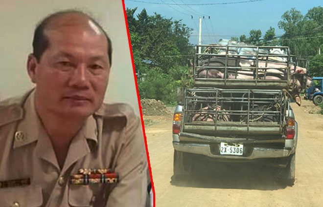 ឈ្មួញ​ធំៗ​សម្រុក​នាំចូល​ជ្រូក​ពី​ស្រុក​យួន​តាម​ច្រករបៀង​លោក ថៃ លី មេ​ពេទ្យសត្វ​ខេត្តតាកែវ និង​លោក ញឹប ស្រ៊ន ប្រធាន​មន្ទីរ​កសិកម្ម​ខេត្ត​មិន​ខ្វល់​ពី​បទ​បញ្ជា​របស់​អភិបាលខេត្ត​