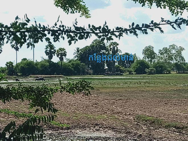 លោក​(​ប្រុស​) ជា​ម្ចាស់​សង្វៀន ប្រជល់មាន់​នៅ​ភូមិ​( ថ្មី​)​កំពុងបើក​លេង រាល់ថ្ងៃ​ហ៊ាន​ផ្គី​េ​ន​និង​បទ​បញ្ជា​លោក ជាម​ច័ន្ទ សោភ័ណ្ឌ​អភិបាលខេត្តត្បូ​ង​ឃ្មុំ និង លោក ប៉ែន រត្ន័​ស្នងការដ្ឋាន​នគ​រ​បាល​ខេត្ត​ត្បូងឃ្មុំ ទៅទៀត​.!