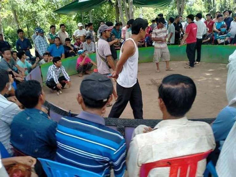 សង្វៀន​ប្រជល់មាន់ ដុះ​ស្លែ​កំពុងបើក​លេង​រាល់​ថ្ងៃ​ក្នុង​ទឹកដី​ឃុំ​អង្គរ​បុរី សមត្ថកិច្ច​ពាក់ព័​ន្ធ​រក្សា​ភាពស្ងៀមស្ងាត់ ប្រហែលជា​ត្រូវ​ថ្នាំ​សន្តំ​ហើយ​មើល​ទៅ .!