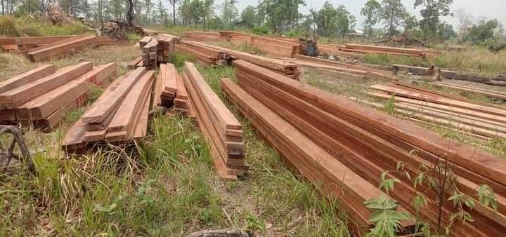 ឈ្មោះ គីម ជា​មេ​ឈ្មួញ ជើង​ខ្លាំង ប្រចាំ​ស្រុក​ជាំ​ក្សាន្ត កំពុង​សម្រុក កាប់​បំផ្លិចបំផ្លាញ​ព្រៃឈើ   ប្រភេទ​លេខ​ពីរ​យ៉ាង​គំហុក​.?