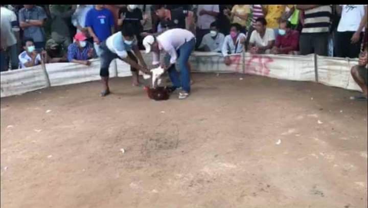 ឈ្មោះ វ៉ា ជា​ម្ចាស់​សង្វៀន​ប្រជល់មាន់ និង​អាប៉ោង កំពុងបើក​លេង​ស៊ីសង​ខុសច្បាប់ យ៉ាង​ពេញបន្ទុក ជា​ប្រភព​ចំណូល​ដល់​មន្ត្រី​ធំៗ​ក្នុង​ខេត្ត​ត្បូងឃ្មុំ​.?