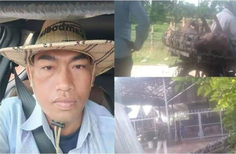ឈ្មោះ ថាំង ជា​មេ​ឈ្មួញ​ជើង​ខ្លាំង ម្នាក់​ប្រចាំ​ស្រុក​រមាស​ហែក កំពុង​សម្រុក​ដឹកជញ្ជូន​ជ្រូក ពី​ស្រុក​យួន​ចូល​ខ្មែរ នា​ឱកាស​បុណ្យ​ភ្ជុំបិណ្ឌ ដោយ​រលូន​.?