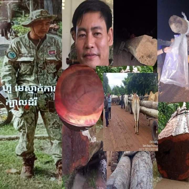 ឈ្មោះ កេ​ន និង ឈ្មោះ ឃា ជា​ឈ្មួញ ជើង​ខ្លាំង​កំពុង​សម្រុក ដឹកជញ្ជូន​ឈើ ខុសច្បាប់​ចេញពី​ឃ្មុំ​ខ្វាវ  ស្រុក​ជីក្រែង ខេត្តសៀមរាប ទាំង​យប់​ទាំង​ថ្ងៃ មាន​ការឃុបឃិត ជា​ប្រព័ន្ធ ?