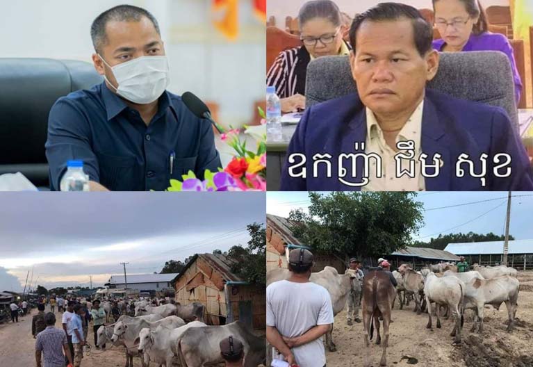 ​លោក ឧកញ៉ា ជឹម សុខ ដែល​ល្បី​ថា​ជា​អ្នកជំនួញ​មាន​អាជ្ញាប័ណ្ណ​៣​សន្លឹក អាច​នាំ សត្វ​គោ ក្របី ទៅ​លក់​នៅ​ស្រុក​យួន តាម​ច្រករបៀង​ព្រំដែន​ស្វាយ​អា​ង៉ោង យ៉ាង​ពេញបន្ទុក ទាំង​យប់​ទាំង​ថ្ងៃ ?