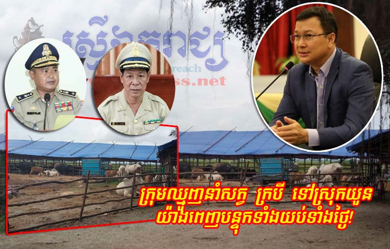 លោក ពេជ្រ វិរះ ស្នងការដ្ឋាននគបាលខេត្តស្វាយរៀង មិនគូរមើលរំលង លោកស៊ិន វិសាល នាយប៉ុស្តិ៍នគរបាលច្រករបៀងព្រំដែនក្រសាំងជ្រំ បើកដៃឲ្យក្រុមឈ្មួញ នាំសត្វគោ ក្របី ទៅស្រុកយួន  យ៉ាងពេញបន្ទុក ទាំងយប់ទាំងថ្ងៃ ?