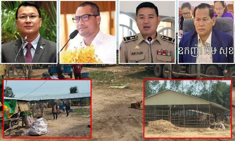 លោកឧកញ៉ា ជឹម សុខ ជាអ្នកជំនួញជេីងខ្លាំងម្នាក់ប្រចាំខេត្តព្រៃវែង ប្រមូលទិញសត្វគោ ក្របី  យ៉ាងគំហុករាល់ថ្ងៃ  រីឯលោក អាន សុផល នាយប៉ុស្តិ៍នគរបាលច្រករបៀងស្វាយអាង៉ោង ជាអ្នកមានសិទ្ធិអំណាចបេីកបារ៉ាល់ ឲ្យឆ្លងដែនយកទៅលក់ នៅស្រុកយួន ?